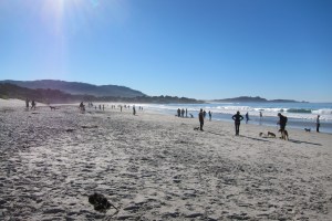 Carmel beach