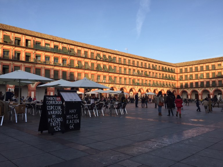 F19AB337-F3E4-4209-B2FE-1246055CB6CF