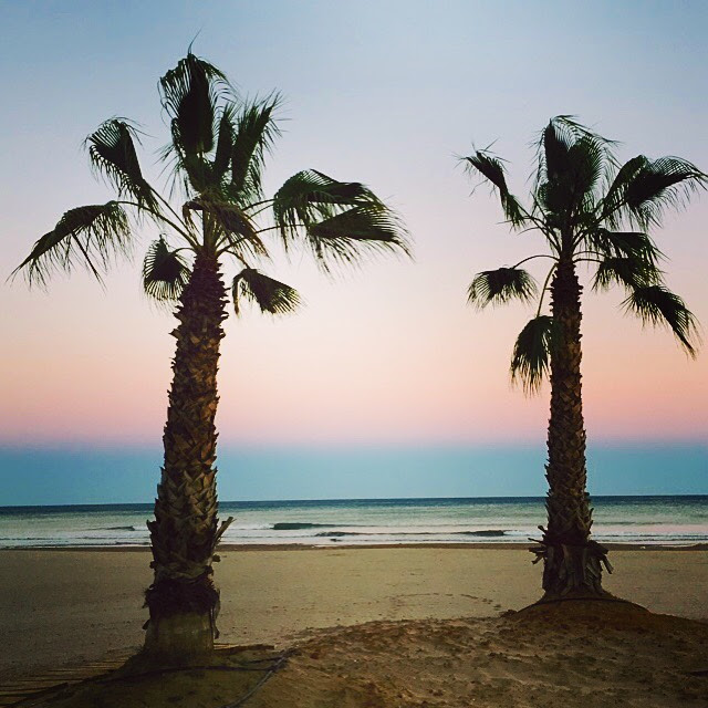 98BE2E02-E5A1-4559-97F1-9EACD0AFD31C